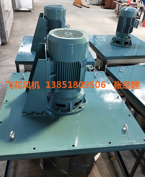 WGB熱風循環(huán)風機