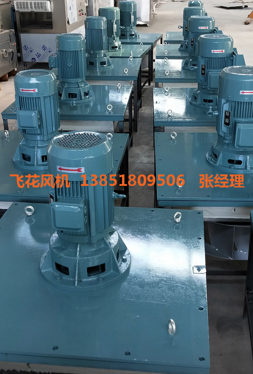 WGB熱風循環(huán)風機